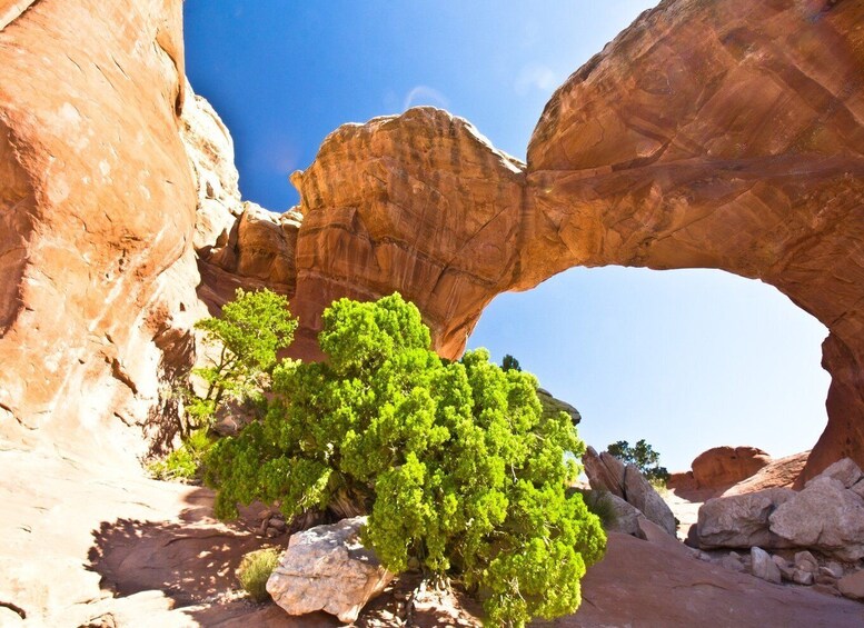 Picture 14 for Activity Arches National Park: Driving Tour with Audio Guide