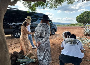 Experiencia artesanal de tequila en un local privado de SUV de lujo