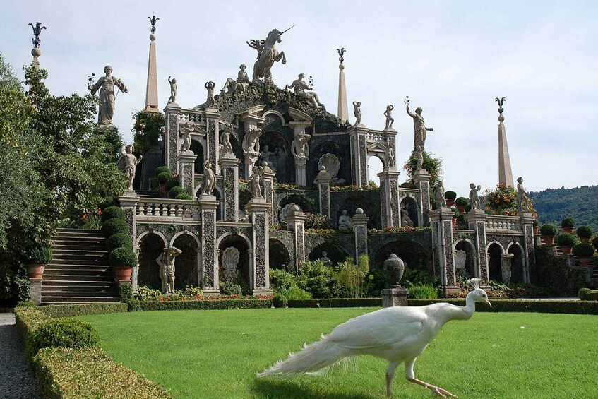 Picture 13 for Activity Stresa - Boat tour of Isola Bella (Lake Maggiore)