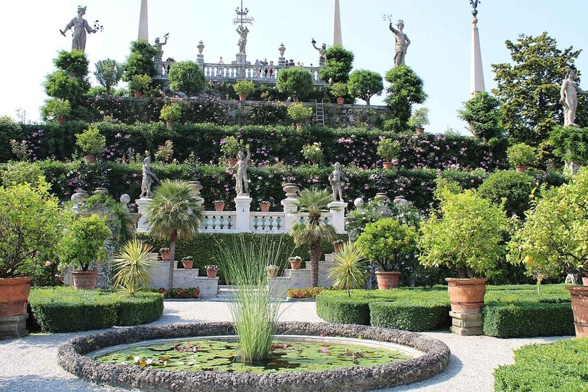 Picture 7 for Activity Stresa - Boat tour of Isola Bella (Lake Maggiore)