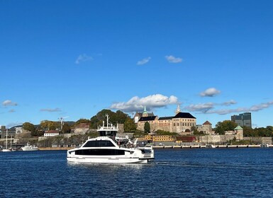 Oslo: Tour guidato della città in pullman con crociera sul fiordo