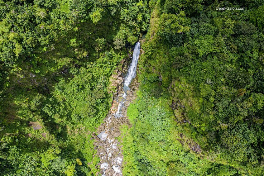 Picture 1 for Activity Dominica Adventure Tour