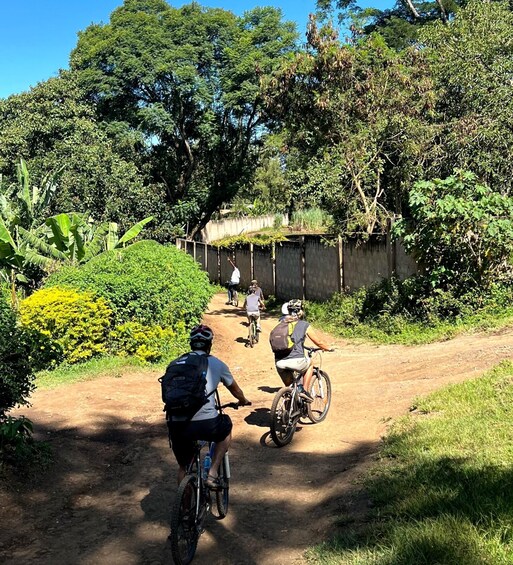 Picture 7 for Activity Guided Mountain Bike Tour through Arusha Village