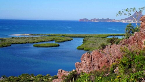 Sonora: Tour of the beach and viewpoint of San Carlos