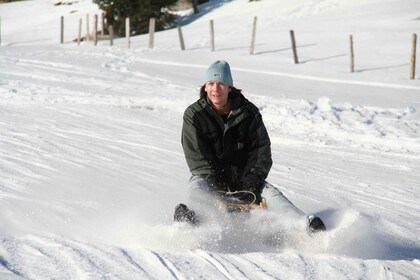 Svizzera: Tour privato di un giorno in slitta