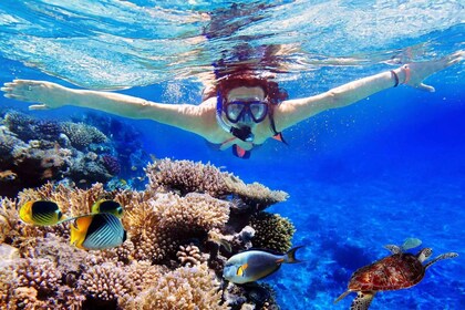 From Bali: Nusa Penida Snorkelling & Island Tour Special Trip