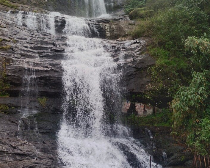 Picture 4 for Activity Waterfalls of Athirapply or Areekal Tour for 1 to 8 people.