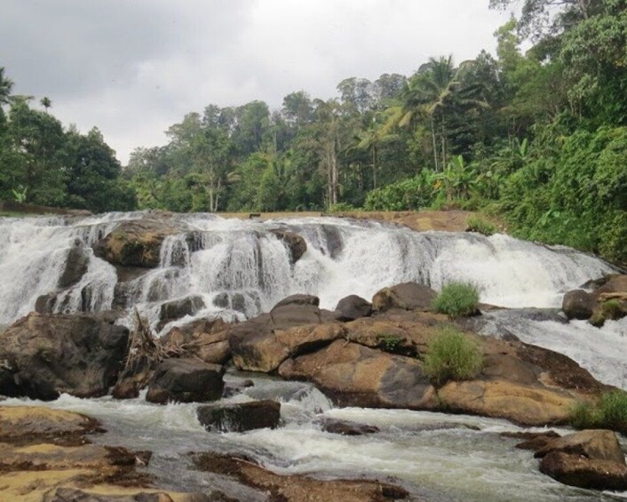 Picture 3 for Activity Waterfalls of Athirapply or Areekal Tour for 1 to 8 people.