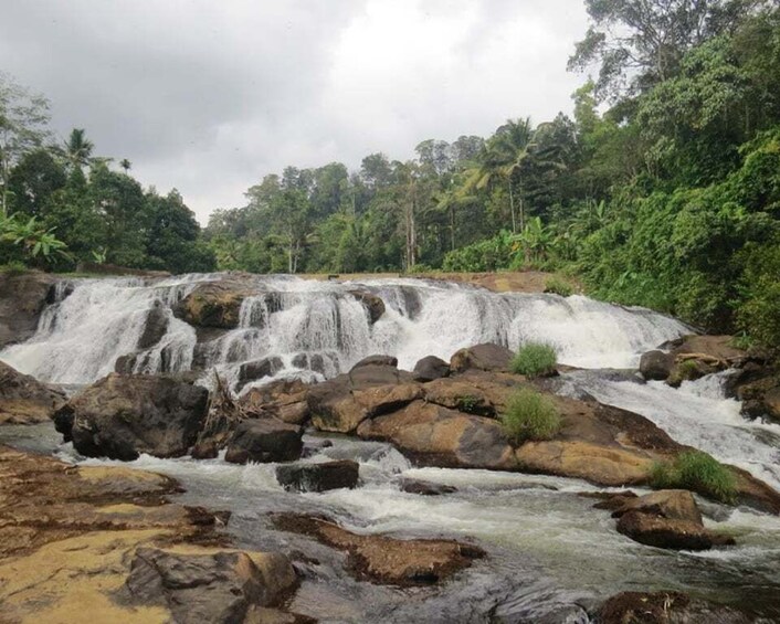 Picture 4 for Activity Waterfalls of Athirapply or Areekal Tour: Niagra of S. India