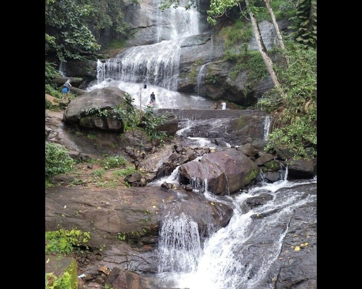 Picture 1 for Activity Waterfalls of Athirapply or Areekal Tour for 1 to 8 people.