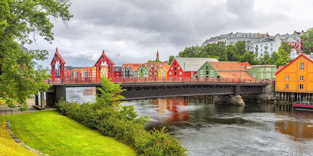 Picture 2 for Activity Trondheim pur - explore the highlights by bus & walk