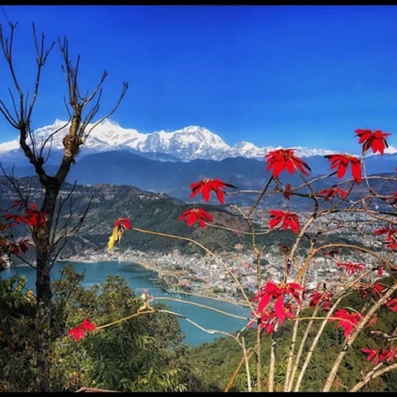 Picture 8 for Activity From Pokhara: Guided Tour to Visit 4 Himalayas View Point