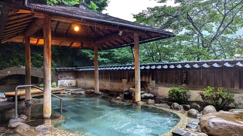 1-Tages-Tour von Takayama: Entdecke den Charme von Gero Onsen