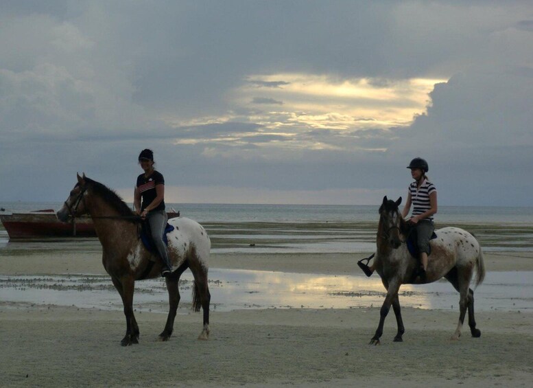 Picture 6 for Activity Jozani Forest, The Rock Restaurant, Horseback Riding Tour