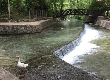 Hanian kylät Yksityinen kierros: Chania: Tutustu aitoon Kreetaan!