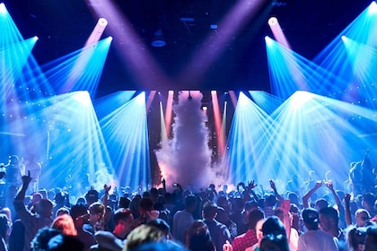 Diy Your own party night tour