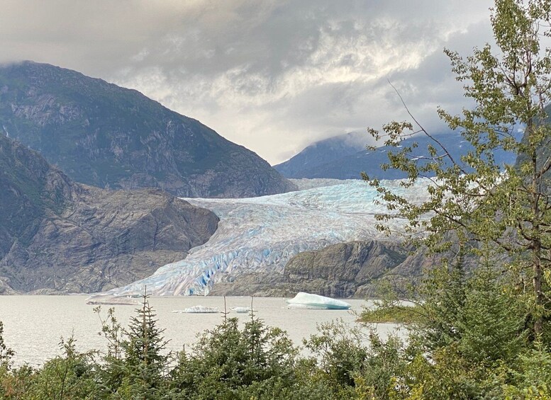 Juneau: Mendenhall Glacier and Whale Watching Tour