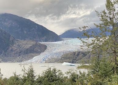 Juneau: Mendenhall Glacier and Whale Watching Tour