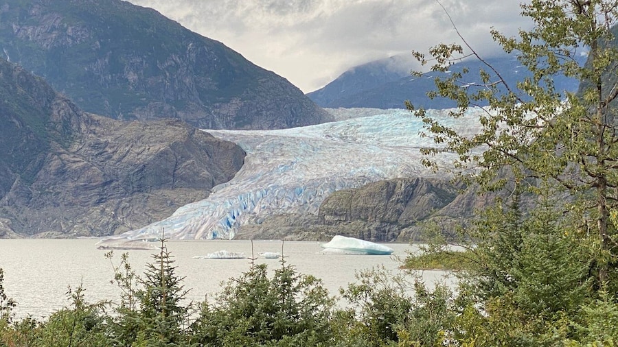 Juneau: Mendenhall Glacier and Whale Watching Tour
