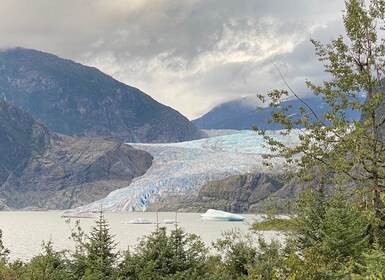 Juneau: Mendenhall Glacier and Whale Watching Tour