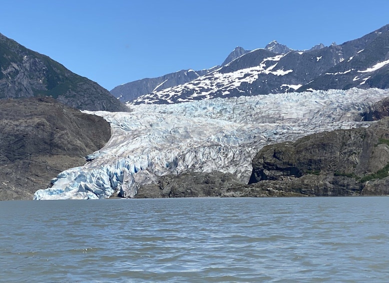 Picture 2 for Activity Juneau: Mendenhall Glacier and Whale Watching Tour