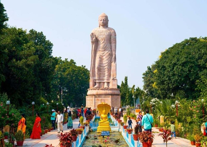 Guided Excursion to Buddhist Trail (Tour of Sarnath)