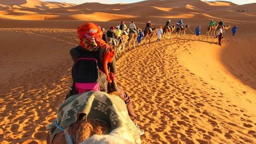 From Marrakech : 3-Day Sahara Desert Safari with Food & Camp