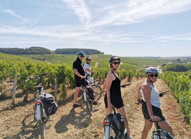 Saint Emilion: e-Bike Winery Tour and Picnic Lunch