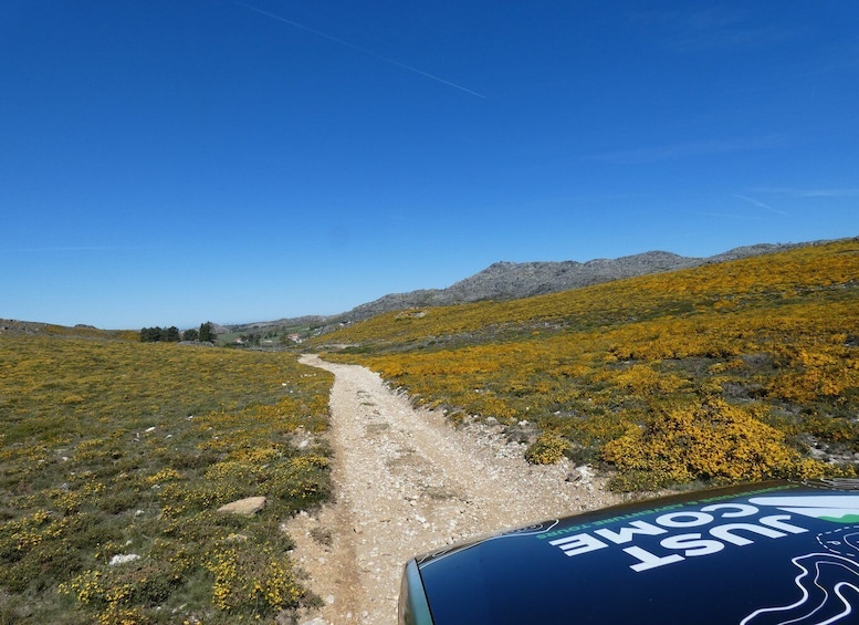 Picture 3 for Activity From Porto: Freita Mountain [Arouca Geopark]- Jeep Tour