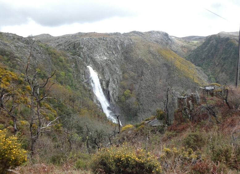 Picture 8 for Activity From Porto: Freita Mountain [Arouca Geopark]- Jeep Tour