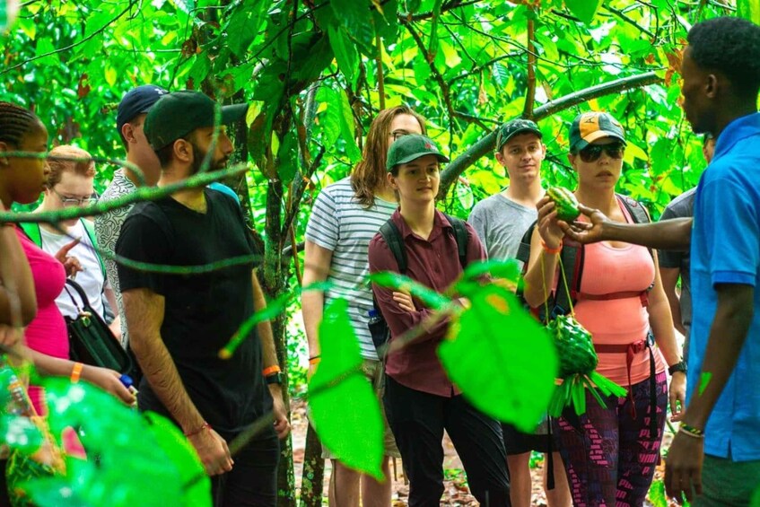 Picture 7 for Activity Zanzibar: Jozani Forest, Spice Farm & Stone Town Tour