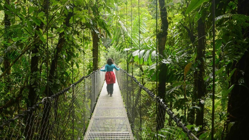 Picture 5 for Activity Combo Arenal: Waterfalls, Hanging Bridges, Thermal Spa