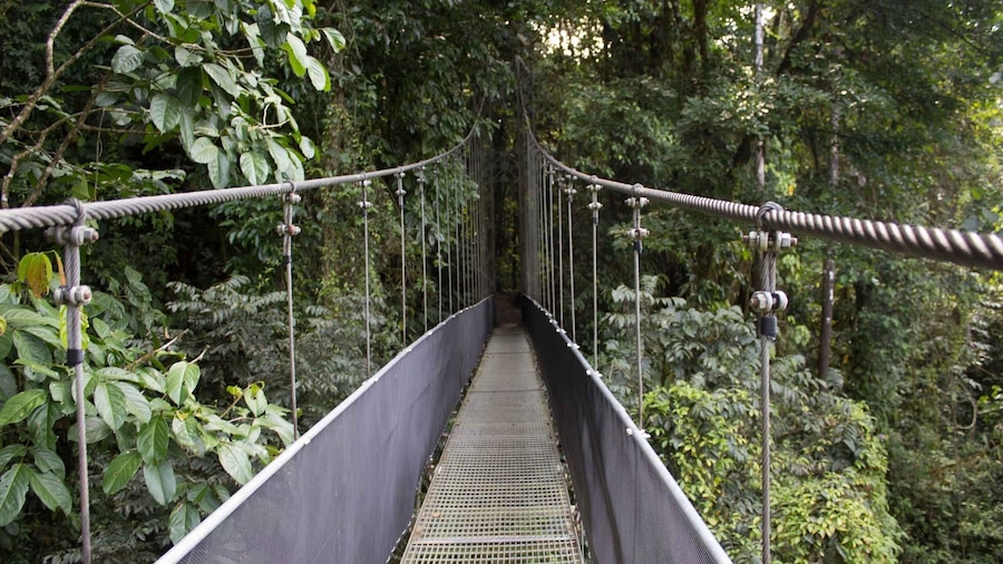 Combo Arenal: Waterfalls, Hanging Bridges, Thermal Spa