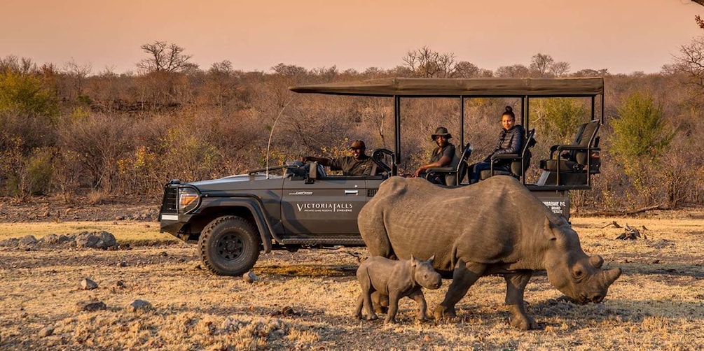 Picture 1 for Activity Victoria Falls: Big 5 Night Rhino Game Drive + Bush Dinner