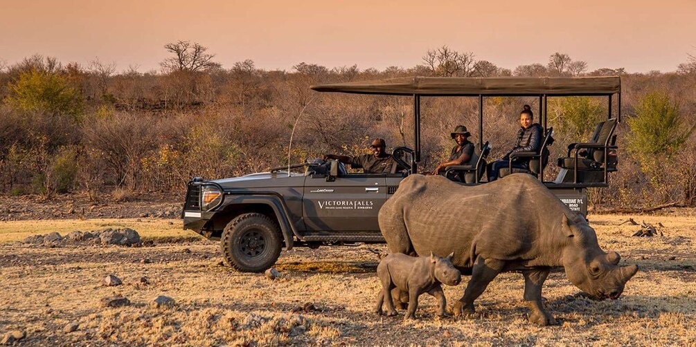 Picture 1 for Activity Victoria Falls: Big 5 Night Rhino Game Drive + Bush Dinner