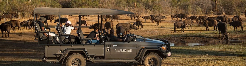 Picture 2 for Activity Victoria Falls: Big 5 Night Rhino Game Drive + Bush Dinner