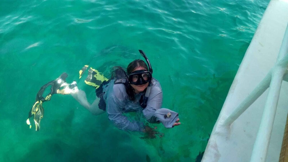 Picture 3 for Activity .Scuba Diving in Acapulco for Begginers