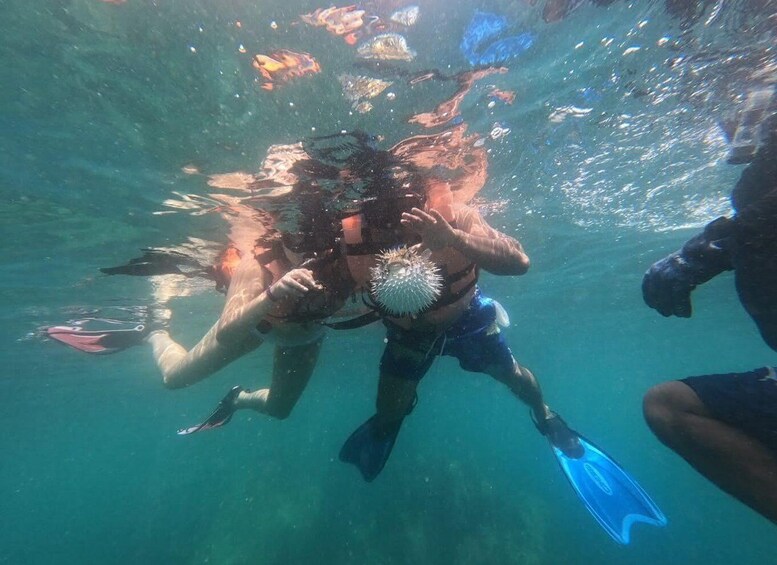 Picture 4 for Activity .Scuba Diving in Acapulco for Begginers