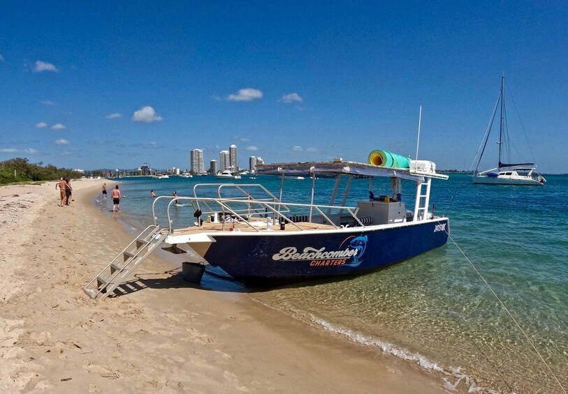 Surfers Paradise to Wavebreak Island Pelican Cruise + Picnic