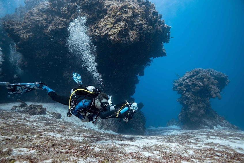 Picture 2 for Activity Cozumel: 1 Tank Certified Scuba Diving