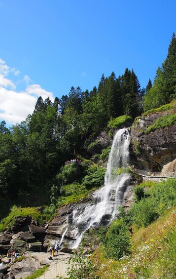 Picture 10 for Activity Hardangerfjord Lunch at Cider Farm, Coffee at historic Hotel