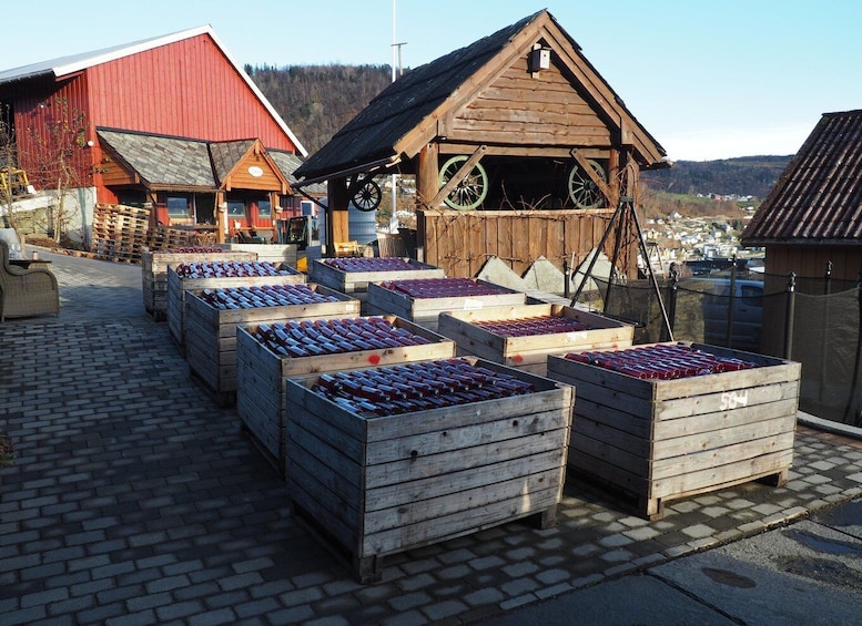 Picture 12 for Activity Hardangerfjord Lunch at Cider Farm, Coffee at historic Hotel