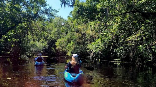 Old Florida Backwater Kayak Adventure Near St. Augustine