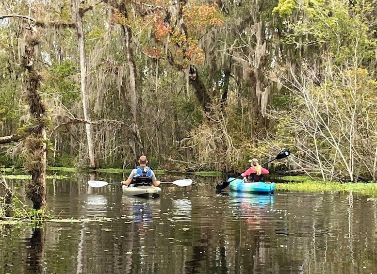 Picture 3 for Activity Old Florida Backwater Kayak Adventure Near St. Augustine