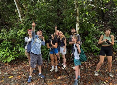 Manuel Antonio Park: Guidet tur for at se dyr og strandtid