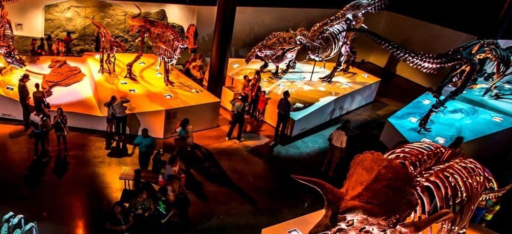 Houston: 1-Day or 3-Day Museum Pass