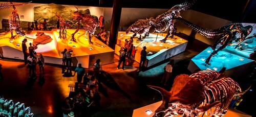 Houston: 1-Day or 3-Day Museum Pass