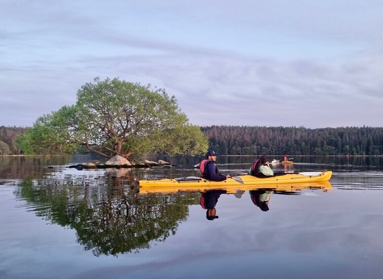 Picture 22 for Activity Stockholm: Sunset Kayak Tour on Lake Mälaren with Tea & Cake