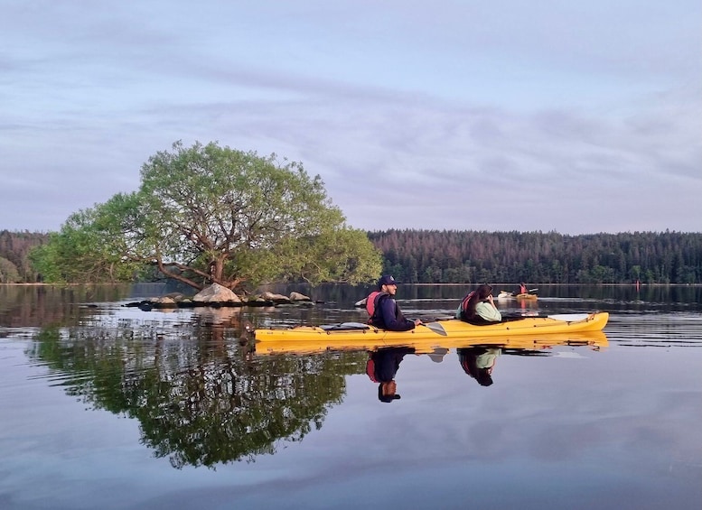 Picture 22 for Activity Stockholm: Sunset Kayak Tour on Lake Mälaren with Tea & Cake