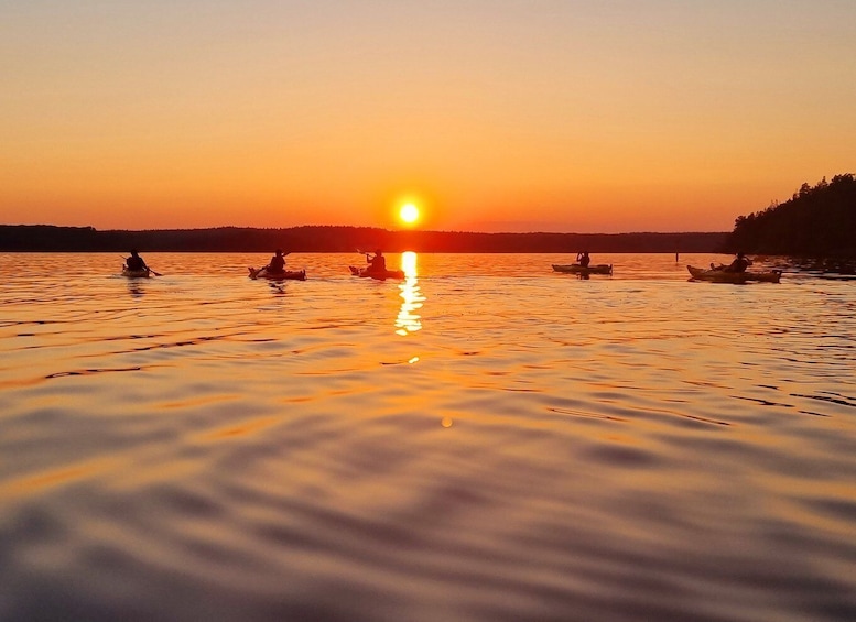 Stockholm: Sunset Kayak Tour on Lake Mälaren with Tea & Cake